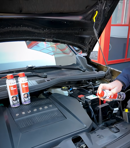 Stop RONGEURS WURTH Spray repulsif